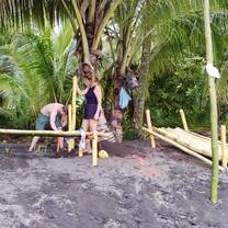 bamboo constructions