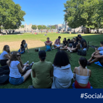 Social Activities