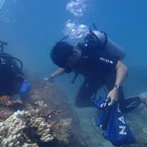 Volunteer and help with Ghost net removal with Perhentian Marine Research Station