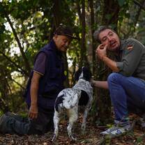 Truffle Hunting