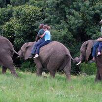 The elephants carry a man and woman each in an elephant sanctuary