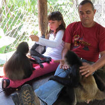 Volunteers in colobus monkeys trust volunteers kenya