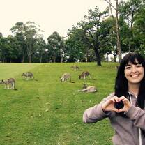 Australia Internships With Academic Credit | From 6-24 Weeks