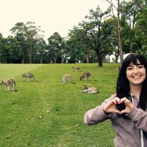 Australia Internships With Academic Credit | From 6-24 Weeks