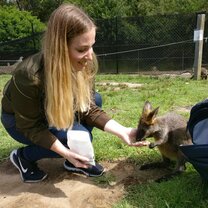 Australia Internships With Academic Credit | From 6-24 Weeks