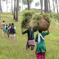 india semester abroad