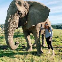 Safari Excursion