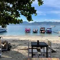 Shark conservation project on Gili Air, Indonesia