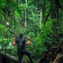 A man stands in a jungle facing ahead