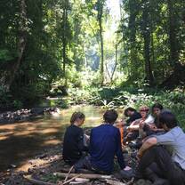 A group sits in the jungle