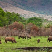 Safari in Tanzania