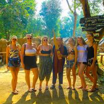 Volunteering Thailand Elephants