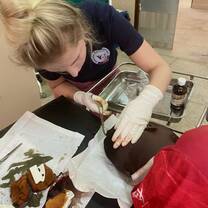Volunteers on action 