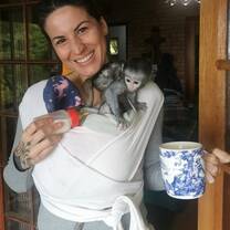 monkey volunteer