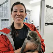Veterinary visits with rescued injured monkeys