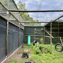monkey enclosures