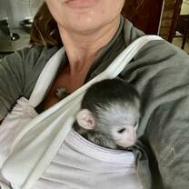 volunteer with monkey