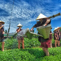 Backpacking Vietnam: Group on rice farm 