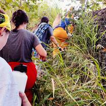 Hiking through the bush in the middle of Vorovoro Island