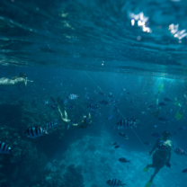 Fiji