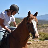 volunteer on horse