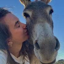 donkey and volunteer