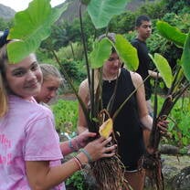 Community Service in Hawaii
