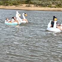swimming in the dam
