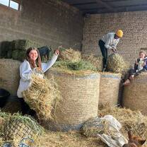 farm