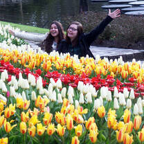 Famous Tulip Gardens in the Netherlands!