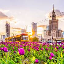 Flowers and buildings on spring day in Warsaw