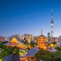 Tokyo skyline