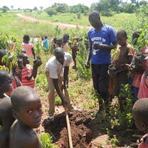 Ladder Ministries guiding OVCs on tree planting and maintainence 