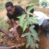 May name is Segawa Steven, i was glad to plant a tree on my birthday, i left a green mark on the planet on 11th,Jan,
