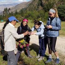 Plant identification hike with a local herbalist