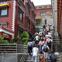Namo Buddha Trip