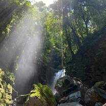 Waterfall in the rain forest