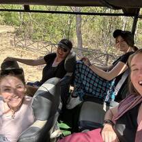 Safari 