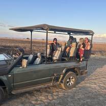 Safari 