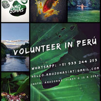 info flyer 