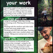 info flyer