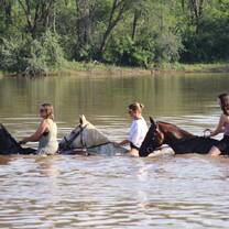 horseride