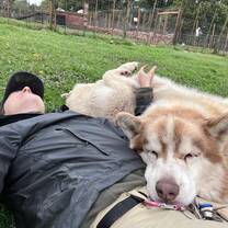Husky