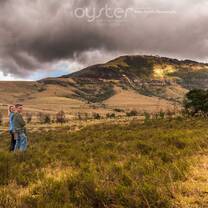 Landscape view of South Africa