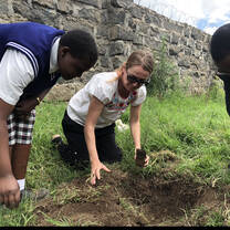 planting