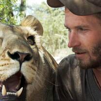 Valentin Gruener and Sirga the lioness at Modisa Wildlife Project in Botswana. Volunteers can experience them together from the safety of the game drive vehicle.