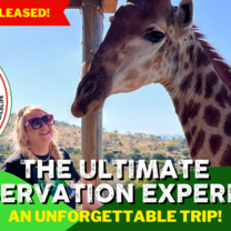 woman and giraffe, join our programme