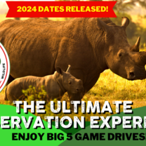 two rhino, join our programme
