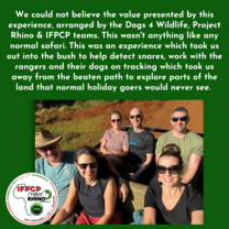 a group on a safari vehicle