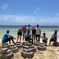 Coral building blocks